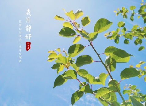 愿歲月靜好，山河無恙